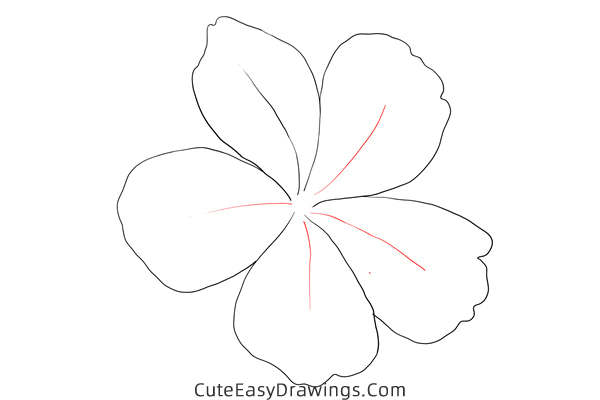 how to draw a plumbago flower - www.cuteeasydrawings.com
