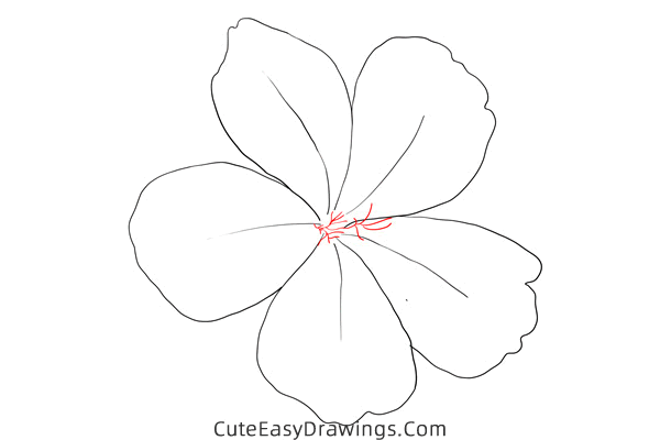 how to draw a plumbago flower - www.cuteeasydrawings.com