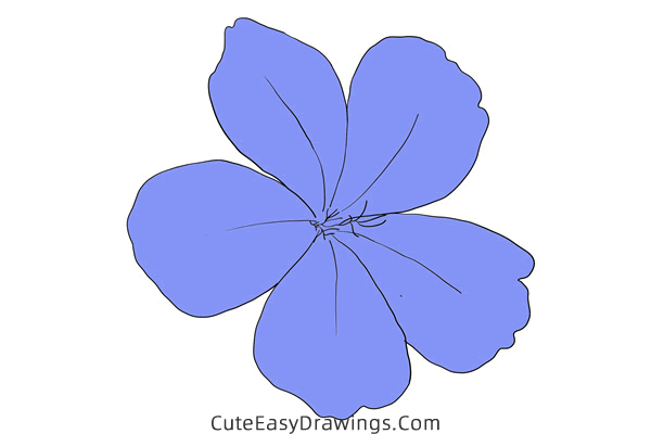 how to draw a plumbago flower - www.cuteeasydrawings.com