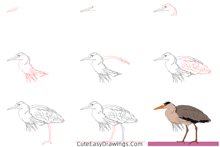 how to draw a realistic heron - www.cuteeasydrawings.com