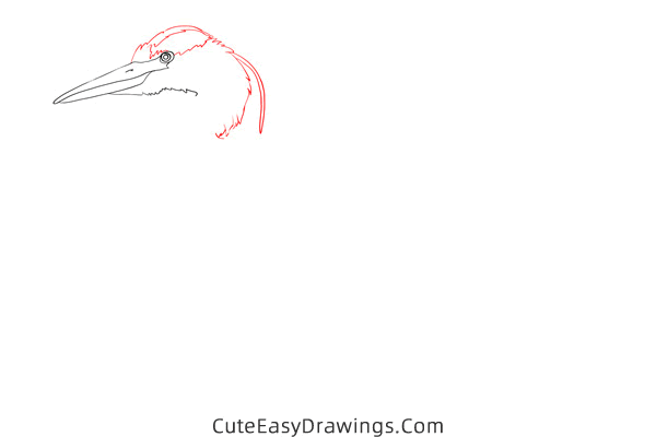how to draw a realistic heron - www.cuteeasydrawings.com