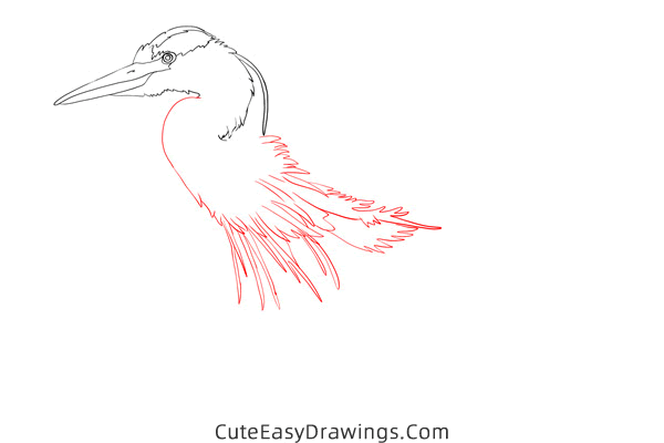 how to draw a realistic heron - www.cuteeasydrawings.com