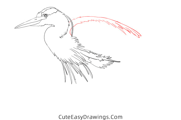 how to draw a realistic heron - www.cuteeasydrawings.com