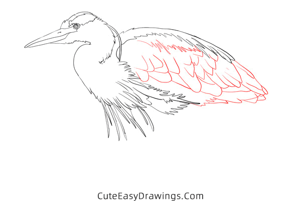 how to draw a realistic heron - www.cuteeasydrawings.com