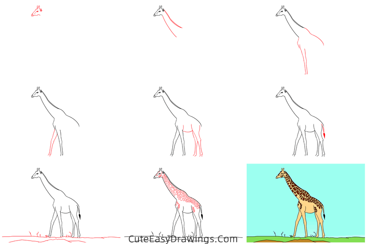 how to draw a realistic giraffe - www.cuteeasydrawings.com