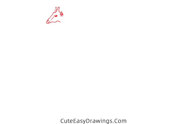 how to draw a realistic giraffe - www.cuteeasydrawings.com