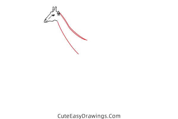 how to draw a realistic giraffe - www.cuteeasydrawings.com