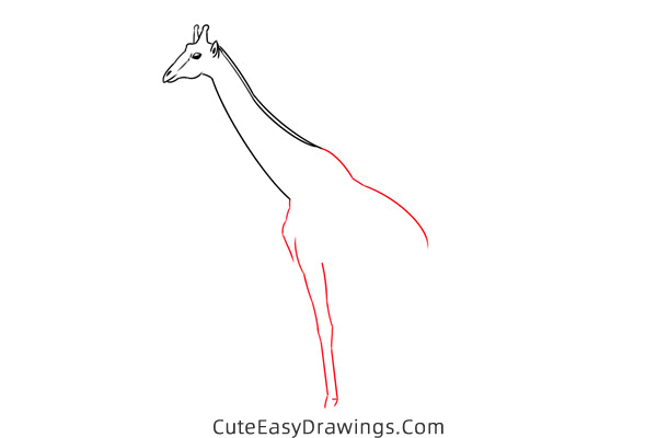 how to draw a realistic giraffe - www.cuteeasydrawings.com