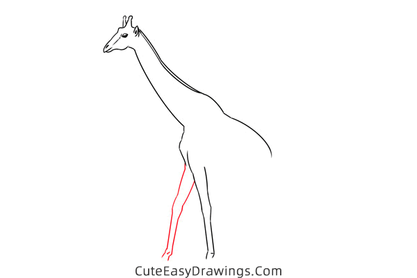 how to draw a realistic giraffe - www.cuteeasydrawings.com