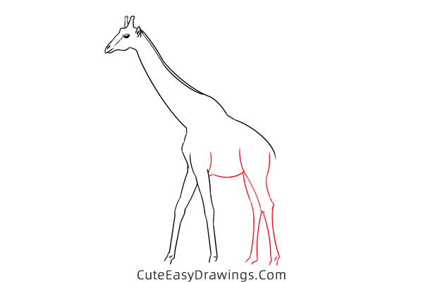 how to draw a realistic giraffe - www.cuteeasydrawings.com