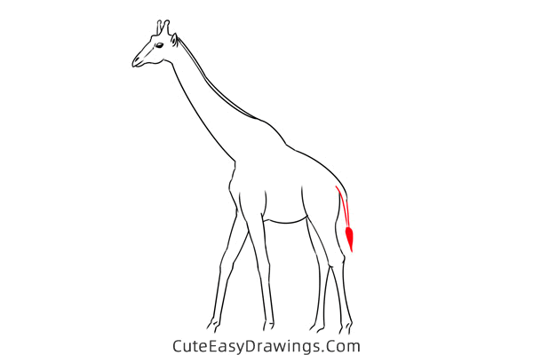 how to draw a realistic giraffe - www.cuteeasydrawings.com