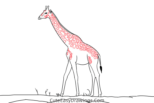 how to draw a realistic giraffe - www.cuteeasydrawings.com