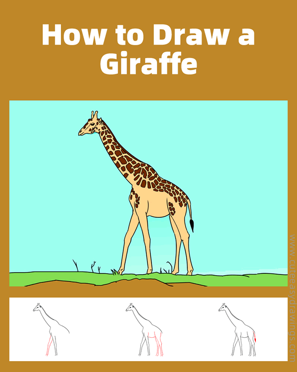 how to draw a realistic giraffe - www.cuteeasydrawings.com