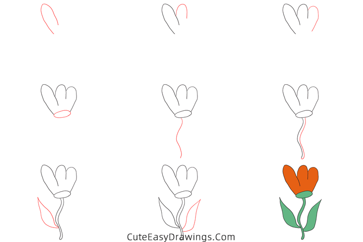 how to draw a tulip easy - www.cuteeasydrawings.com