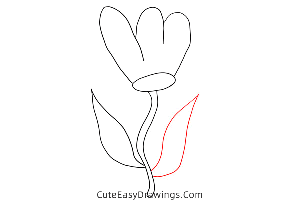 how to draw a tulip easy - www.cuteeasydrawings.com