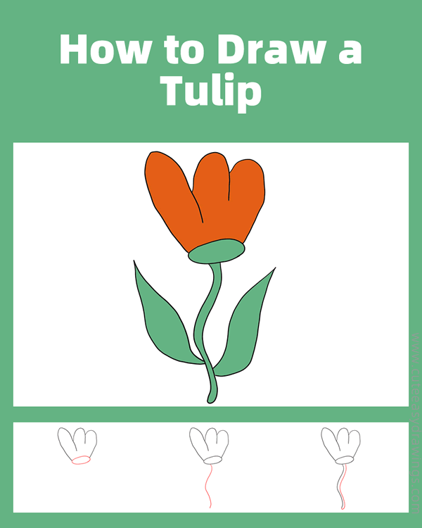 how to draw a tulip easy - www.cuteeasydrawings.com