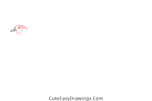 how to draw a realistic pheasant - www.cuteeasydrawings.com