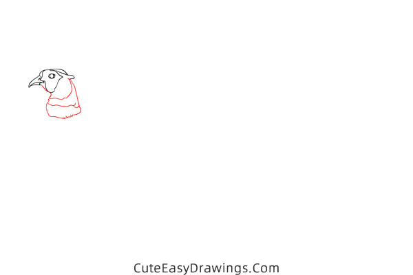 how to draw a realistic pheasant - www.cuteeasydrawings.com
