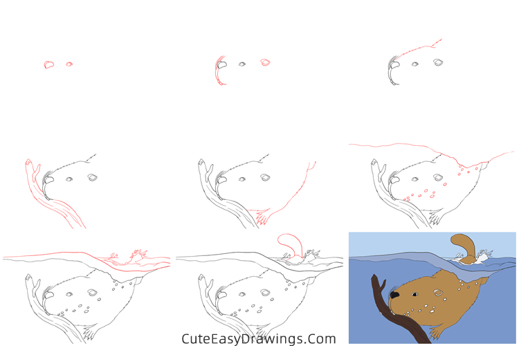 how to draw a beaver in the water - www.cuteeasydrawings.com