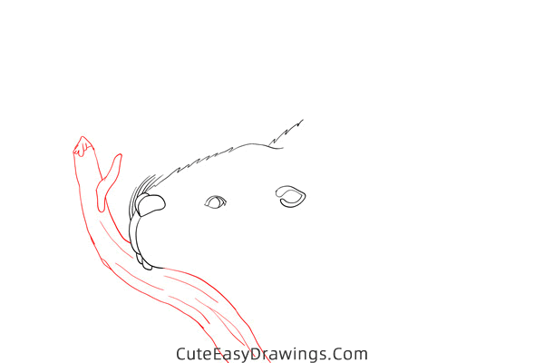 how to draw a beaver in the water - www.cuteeasydrawings.com