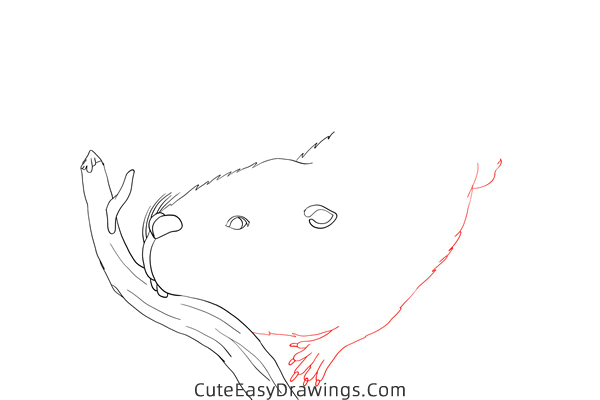 how to draw a beaver in the water - www.cuteeasydrawings.com