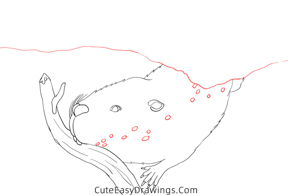 how to draw a beaver in the water - www.cuteeasydrawings.com