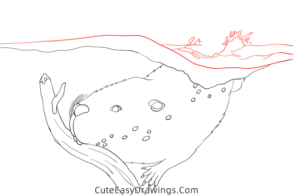 how to draw a beaver in the water - www.cuteeasydrawings.com