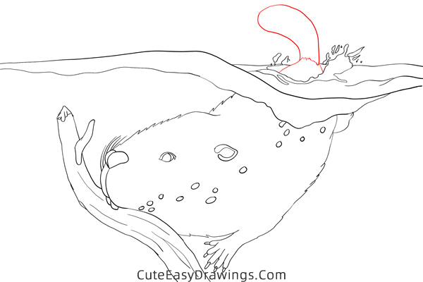 how to draw a beaver in the water - www.cuteeasydrawings.com