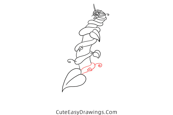 how to draw a beanstalk - www.cuteeasydrawings.com