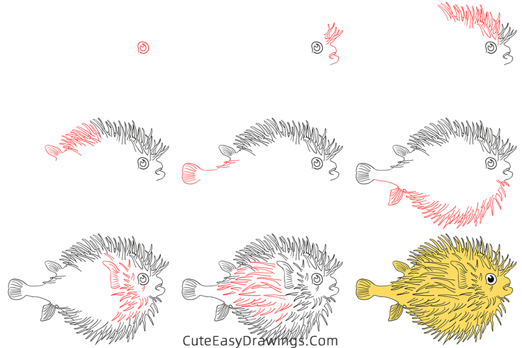 how to draw a pufferfish - www.cuteeasydrawings.com