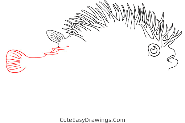 how to draw a pufferfish - www.cuteeasydrawings.com