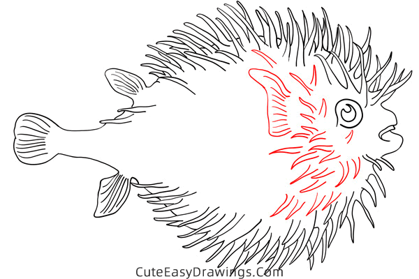 how to draw a pufferfish - www.cuteeasydrawings.com