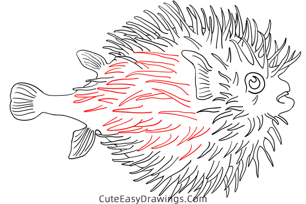how to draw a pufferfish - www.cuteeasydrawings.com