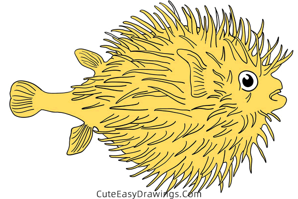 how to draw a pufferfish - www.cuteeasydrawings.com
