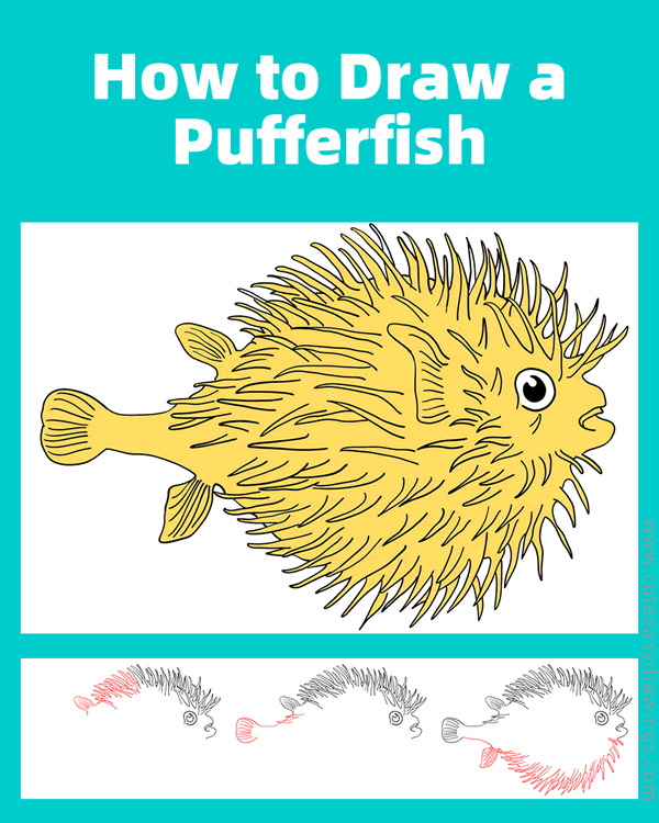 how to draw a pufferfish - www.cuteeasydrawings.com