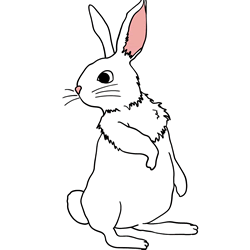 How to Draw a Rabbit Standing Step by Step