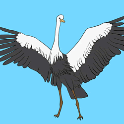 How to Draw a Crane Step by Step