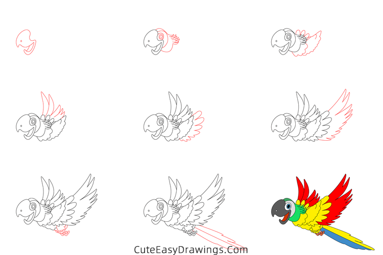 how to draw a parrot flying - www.cuteeasydrawings.com