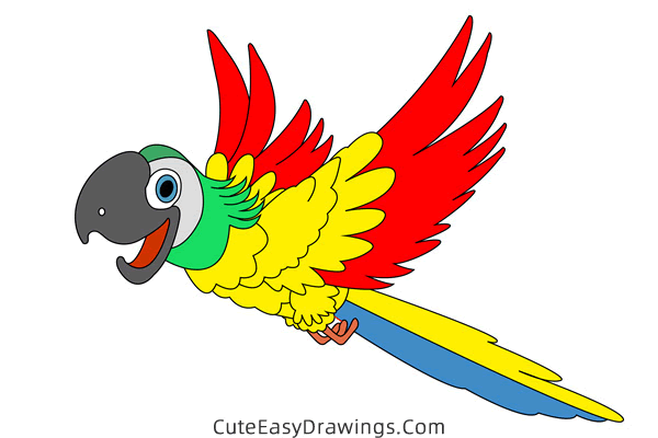 how to draw a parrot flying - www.cuteeasydrawings.com