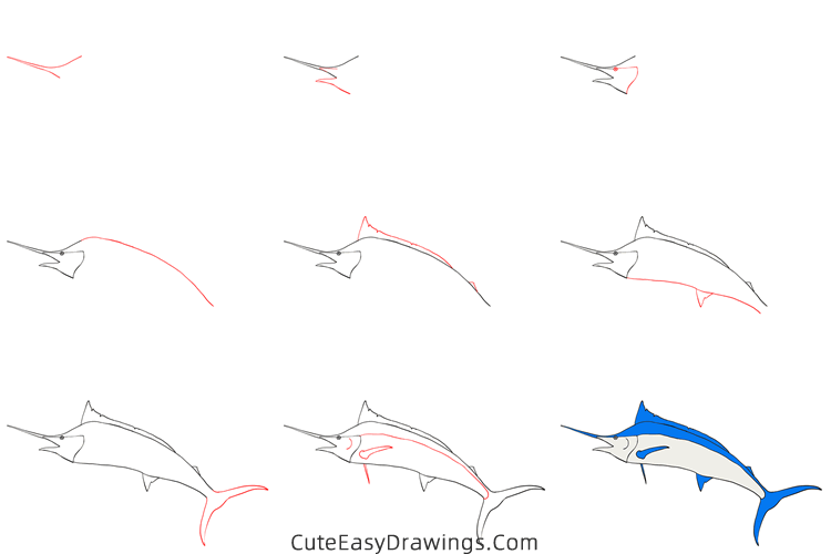 how to draw a blue marlin - www.cuteeasydrawings.com