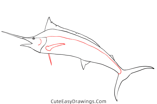 how to draw a blue marlin - www.cuteeasydrawings.com