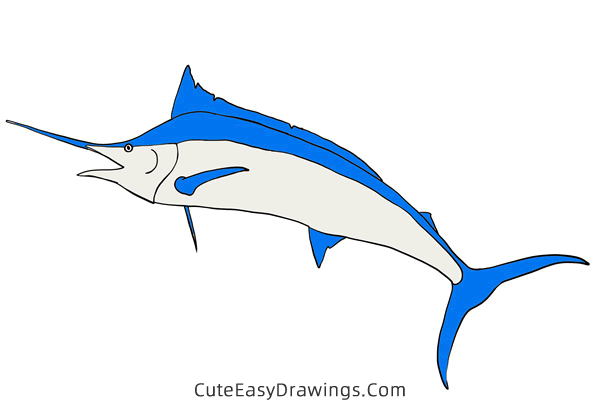 how to draw a blue marlin - www.cuteeasydrawings.com