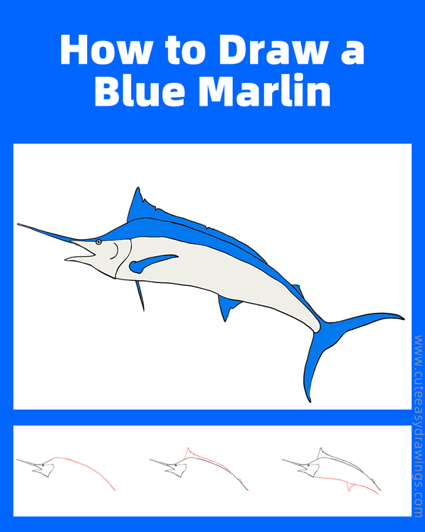 how to draw a blue marlin - www.cuteeasydrawings.com