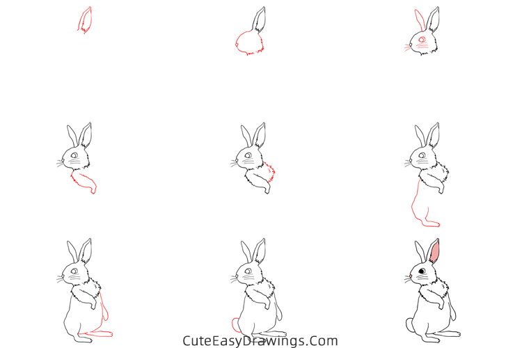 how to draw a rabbit standing - www.cuteeasydrawings.com