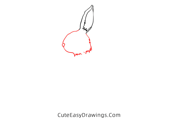 how to draw a rabbit standing - www.cuteeasydrawings.com