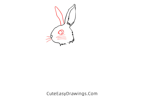 how to draw a rabbit standing - www.cuteeasydrawings.com
