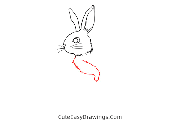 how to draw a rabbit standing - www.cuteeasydrawings.com