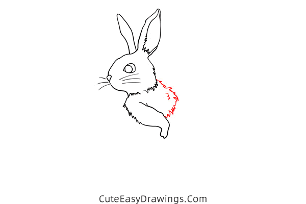 how to draw a rabbit standing - www.cuteeasydrawings.com