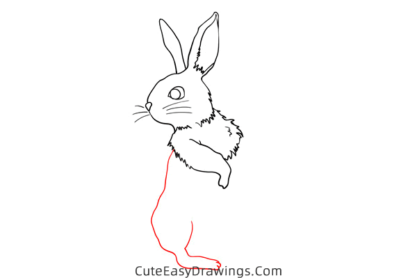 how to draw a rabbit standing - www.cuteeasydrawings.com