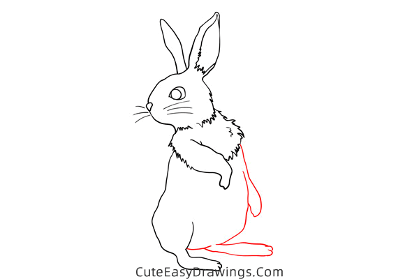 how to draw a rabbit standing - www.cuteeasydrawings.com